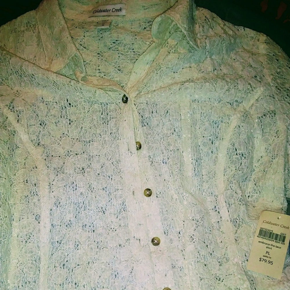 Lace blouse